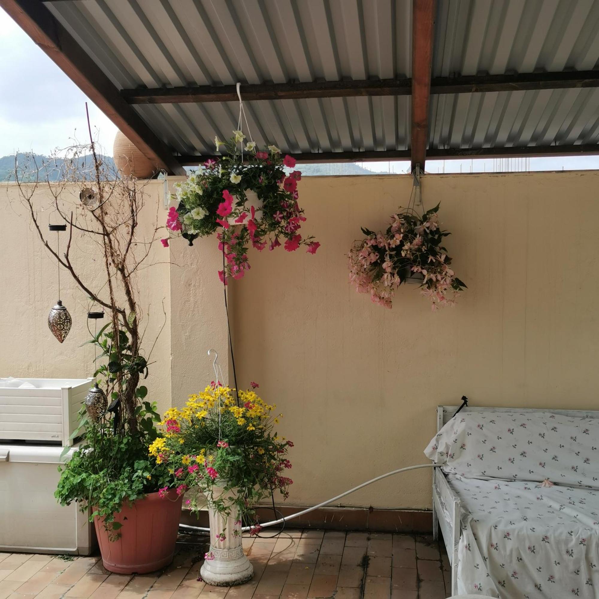 Albisola Bed And Breakfast Albisola Superiore Exterior foto